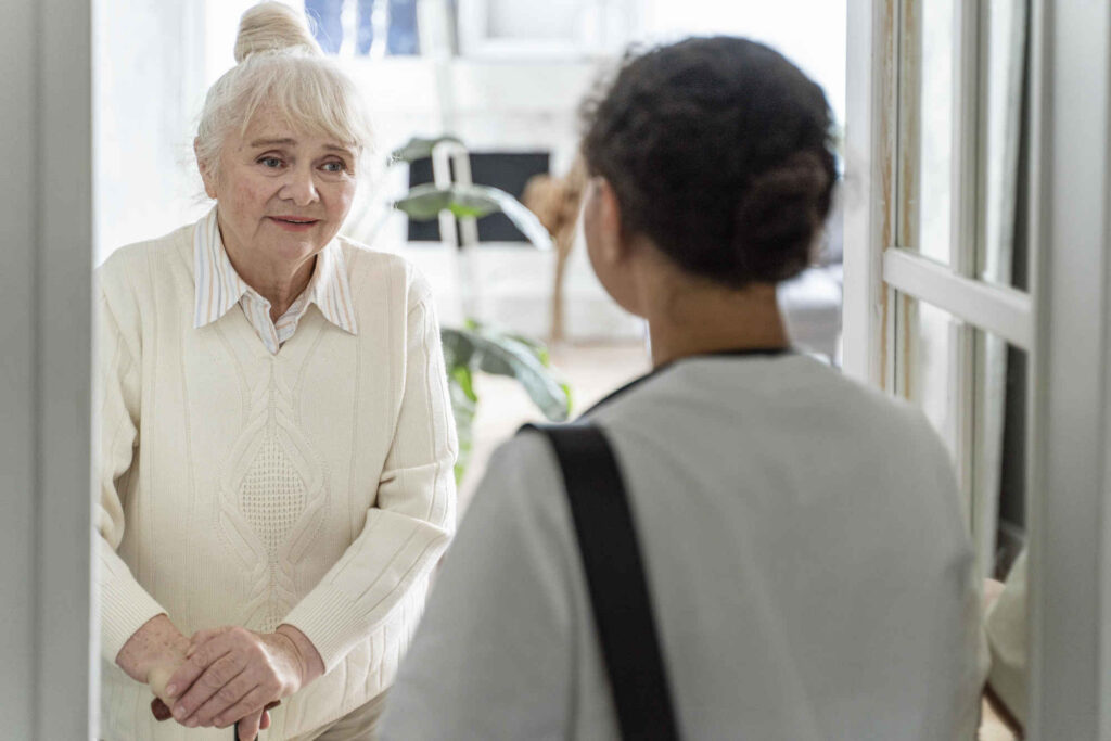 Badante sostititutiva